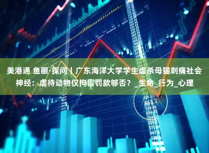 美港通 鱼眼·探问丨广东海洋大学学生虐杀母猫刺痛社会神经：虐待动物仅拘留罚款够否？_生命_行为_心理