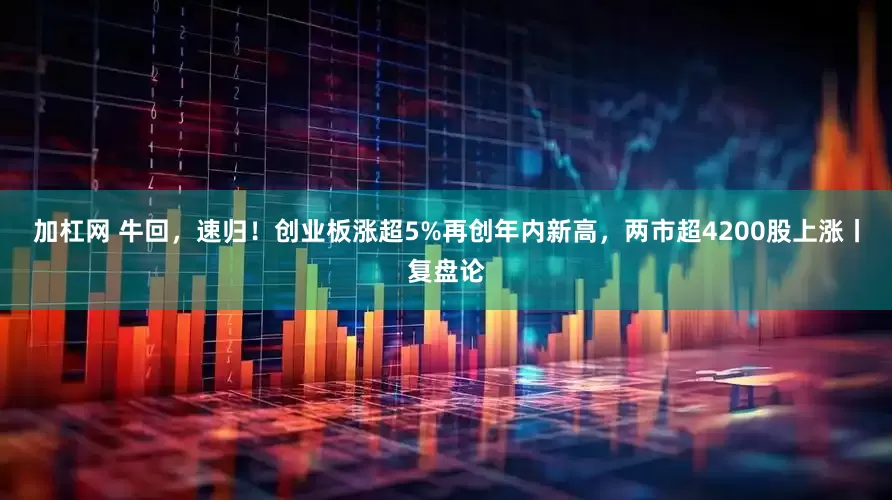 加杠网 牛回，速归！创业板涨超5%再创年内新高，两市超4200股上涨丨复盘论