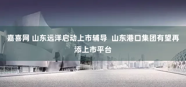 嘉喜网 山东远洋启动上市辅导  山东港口集团有望再添上市平台